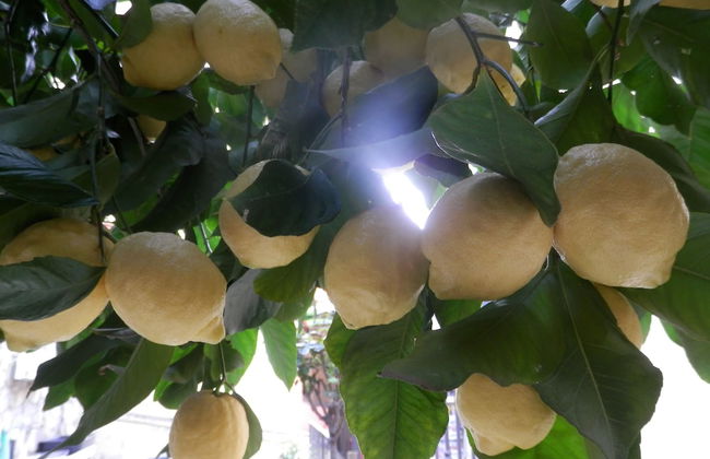 Il BoMa Affittacamere - Foto 38