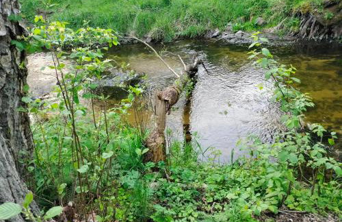 Leśna Chata kuracyjna nad rzeką z sauną w Borach Tucholskich - Foto 35