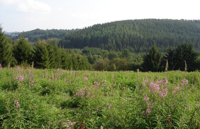 Holiday Home With Sauna in Sourbrodt - Foto 37