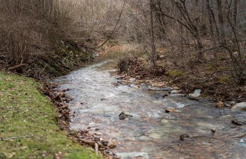 Hot Tub - Fire Pit - River - State Park - King Bed - Foto 39