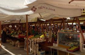 Serenity Countryside Mobile Houses - Photo 29