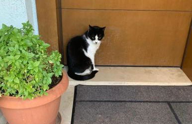 Something different in Chalkida - Foto 21