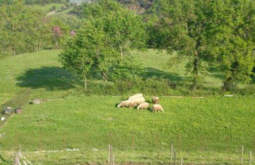 Country Home Genesi 20 min from Trikala - Foto 56