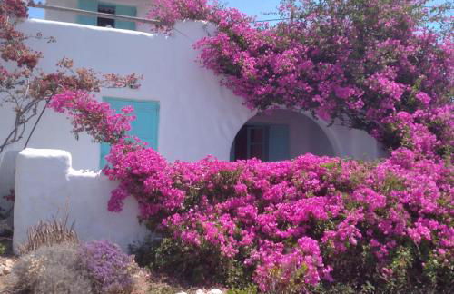 Λιογερμα - Foto 2