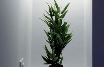 L impérial 5 - Direct Gare- 35 mn Paris - Foto 17