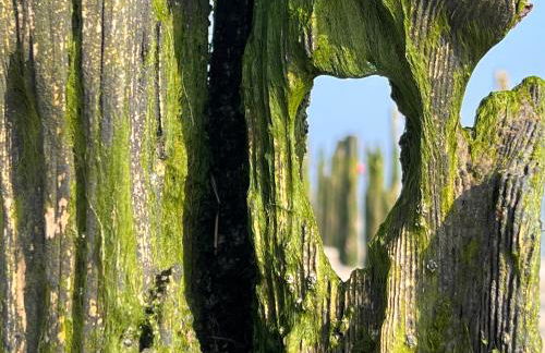Strandschönheit - Foto 57