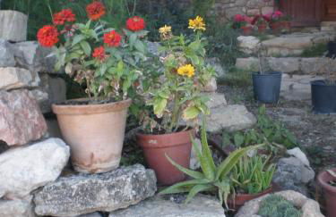 Mas del Salin - Foto 24