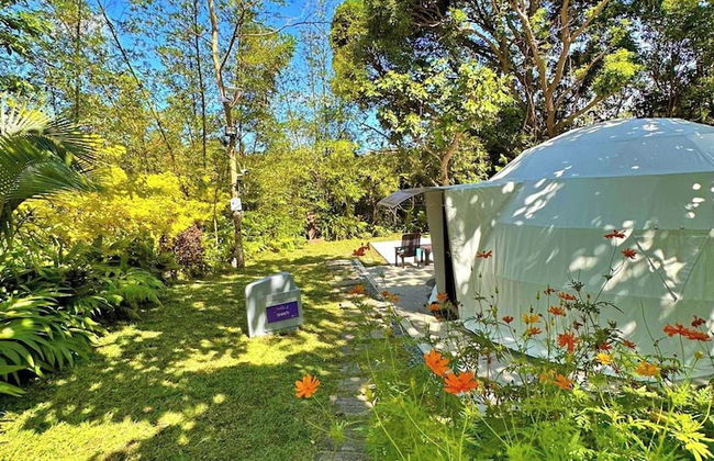 Shanti Wellness Sanctuary - Foto 64