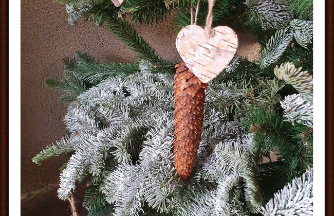 Kolev Apartments - Foto 5