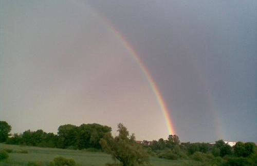 Ferienhaus am Schilfgürtel - Foto 13