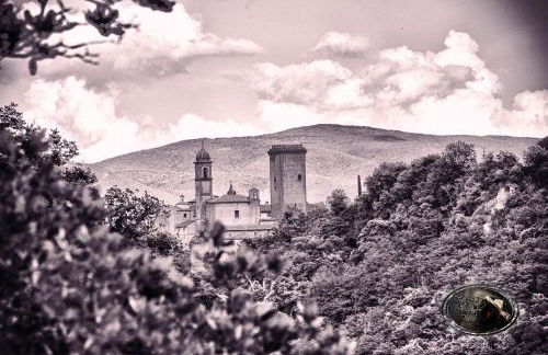 Casa Flora - Foto 22