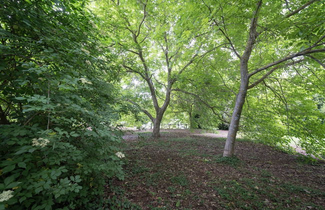 Il Castagno dell'Etna - Foto 69