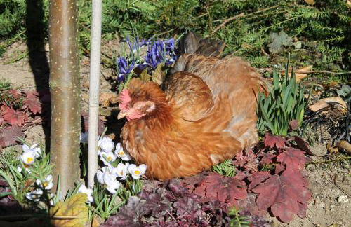 Maison Mille Fleurs - Foto 44