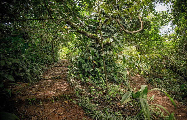 Khaama Kethna Wellbeing Retreat Centre - Foto 40