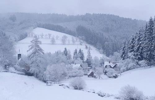 Ferienwohnung am Siegelbächle - Foto 18