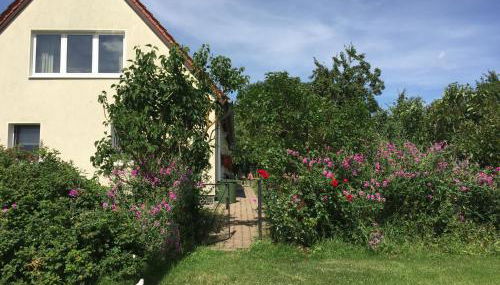 baerenhoele - Foto 4