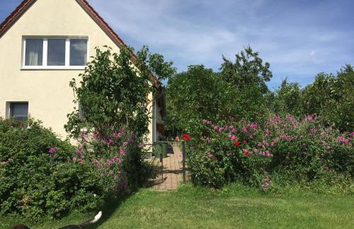 baerenhoele - Foto 4