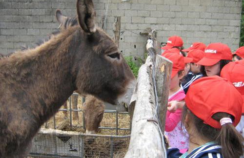 Masseria Sparano - Foto 1