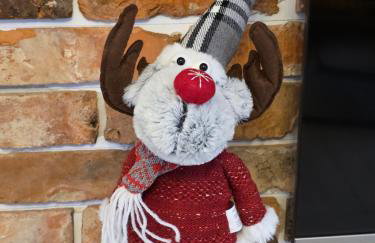 Komfortowy Dom Całoroczny - sauna, jacuzzi, bilard - Foto 56