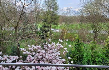 Helle Wohnung mit Balkon 120qm, 4Zimmer - Foto 7