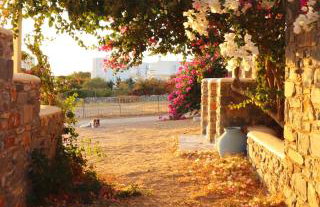Sunny Studios Naxos - Foto 28
