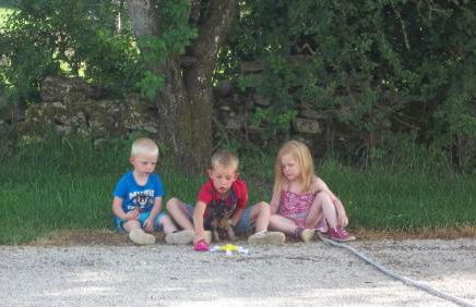 Gite Du Colombier - Foto 25