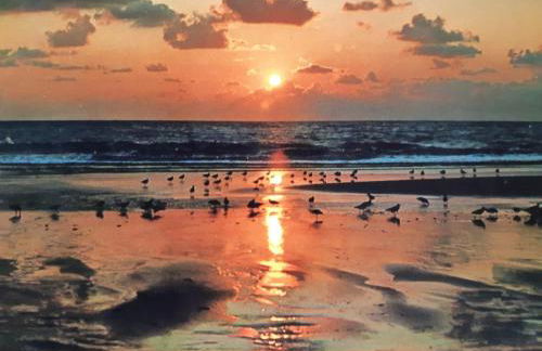 Nordseeferienhaus-Alma - Foto 13