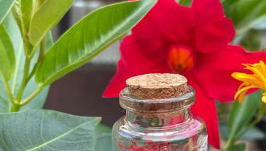 Oasi Rupestre - Photo 4