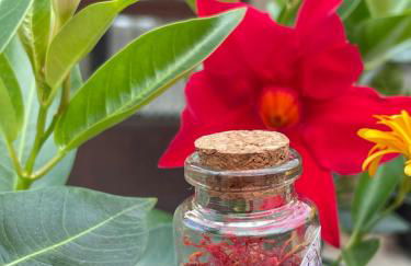 Oasi Rupestre - Photo 4