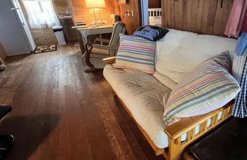 The Wee Cabbage - Foto 18