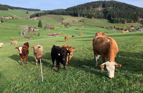 Ferienwohnung am Schneeberg - Foto 38