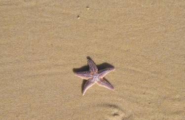 Maison landaise rénovée avec charme - Foto 26