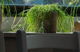 Gîte classé deux étoiles gite de France n 17 Signy-le-Petit - Foto 7