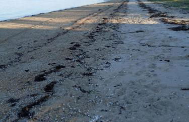 Valle Inclan - Foto 23