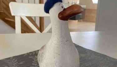 Ferienwohnung Sanddornidylle - Foto 5