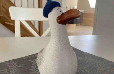 Ferienwohnung Sanddornidylle - Foto 5