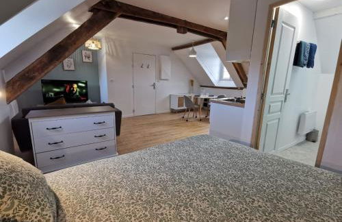 Les appartements du centre, refaits à neuf, climatisés, hyper centre, 50m à pieds des commerces, restaurants, parking gratuit - Foto 27