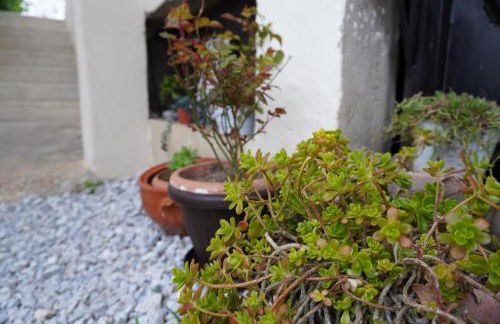 Elena's House - Photo 51