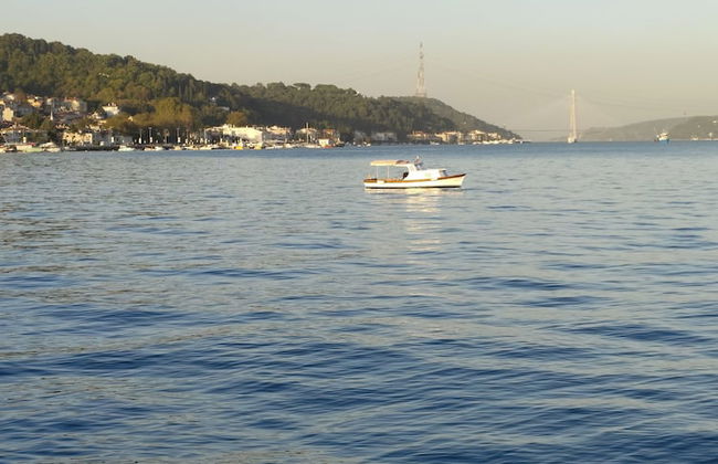 MOONLIGHT - Photo 36