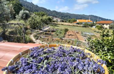 Casa 99 in Barbéns, Miranda do Corvo - Foto 11