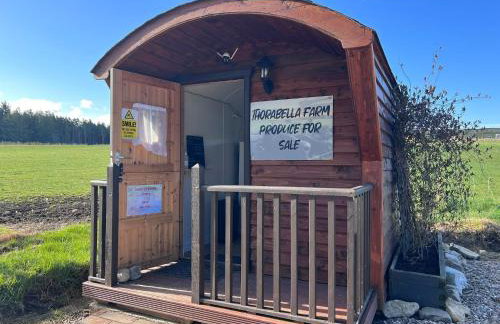 Willow Straw Bale Cabin - Foto 20