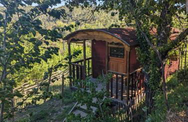 roulotte à la mauvaise herbe - Foto 1