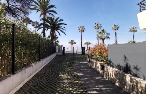 OFDL B T1 BANDOL - Briotine Foyalais - Foto 24