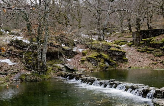 Caserio Iruaritz - Foto 21