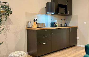 Lichtdurchflutetes Design-Apartment U39-1 - Foto 6