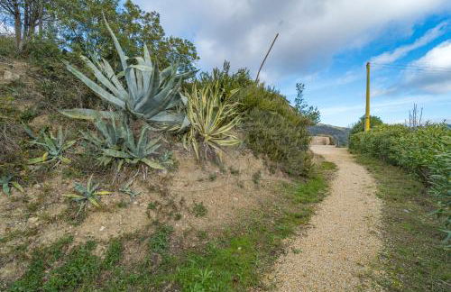 Villa la Collina Charme e Natura - Goelba - Foto 13