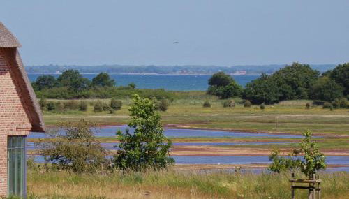 Reetdorf Geltinger Birk Malerhaus Niedermoor - Foto 3
