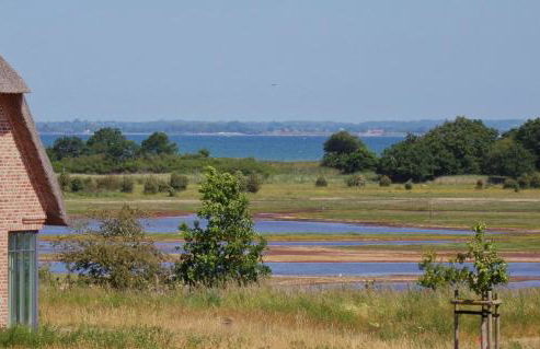 Reetdorf Geltinger Birk Malerhaus Niedermoor - Foto 3
