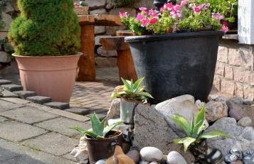 Ferienwohnung Reißmann - Foto 30