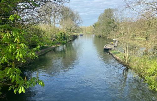 The Florence - Photo 43